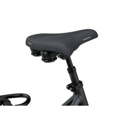 BATAVUS Finez PT Exclusive Plus 2 DAMES Volcano Black Matt 53cm 2026 (8713568557832)