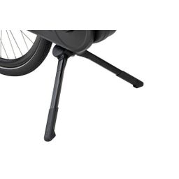 BATAVUS Quip E-go Plus Lageinstap Zwart Mat 49cm 2025 (8713568460286)