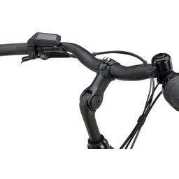 BATAVUS Altura PT Pro 2026 DAMES Smokingblack Matt 51cm 2026 (8713568557221)