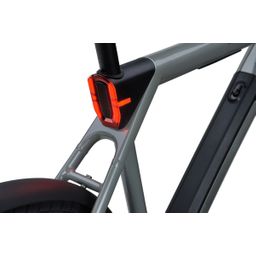 Raleigh One SAGE GREY 58cm 2025 (8713568562218)