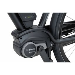 BATAVUS Quip Extra Cargo E-go 500Wh 40Nm., Zwart Mat (8713568450348)