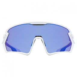 Uvex Sportstyle 231-White Mat-UNI (4043197341927)