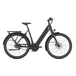 GAZELLE Ultimate C8+, Pine Green Glans (8717231363966)