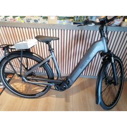 BeOne Excellence LTD 28'' Nexus 8 Belt Dames Anthracite 50cm 2025 (F.14460)