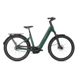 Norta B-4030 Dames 12-Dark Green 45cm 2026 (F.14738)