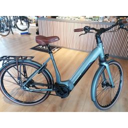 Granville Vancouver N2 Dames Dark Grey/Green Matt 50cm L 2025 (F.14826)