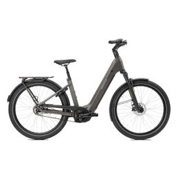 Norta B-4030 MY26 Dames Iron Grey 45cm 2026 (5401263003619)