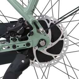 Brinckers Brisbane M310, Old Jade (8719747909560)