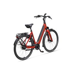 SPARTA A-Shine Fit, DARK RED GLOSS (8713568495394)