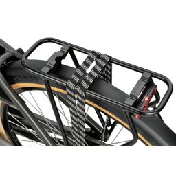 SPARTA C-Grid Energy Dames Titan Grey Gloss 56cm 2024 (8713568499712)