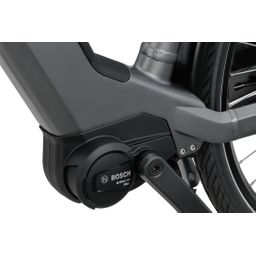 SPARTA D-Rule Fit 2026 Dames GREY BROWN MATTE 57cm 2026 (8713568553711)