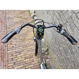 Lugano Elo de luxe Dames grijs 58cm 2023 (F.21902)