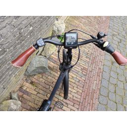 Qwic PREMIUM MN8 HS22 Dames steel blue 50 57cm L 2019 (F.21870)