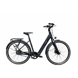 Brinckers Blaze Dames Grey 50cm 2026 (8720143980909)