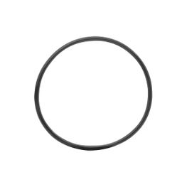 Ebp kettd o-ring Bosch kettingblad perf cargo (4054289000783)