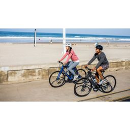 Zadel Bontrager Commuter Comp 185 mm Black (0601479687152)