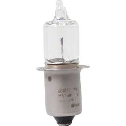 Sigma lampje 6V2.4W0.4A hal (4016224003457)