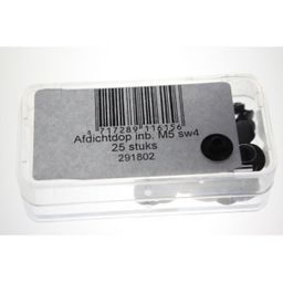 Bofix Afdichtdop inbus m5 (8717289116156)