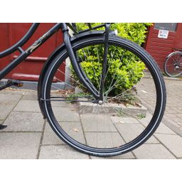 Basic Basic zwart 50cm 2020 (F.1218)