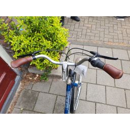 Batavus Flash Dames Groen 48cm 2020 (F.1210)