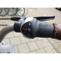 Batavus Flash Dames Groen 48cm 2020 (F.1210)