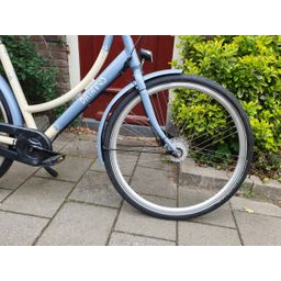Batavus Damesfiets Dames blauw 50cm 2020 (20203431)