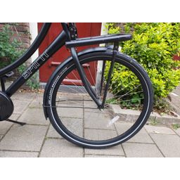 Spirit geen zwart 57cm 2020 (F.1216)