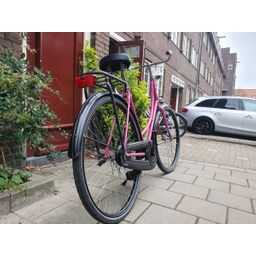 Limit geen roze 56cm 2020 (F.1230)