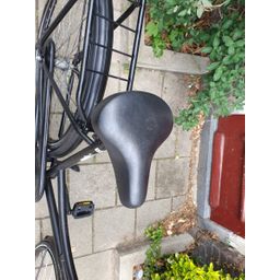 Basic Basic zwart 50cm 2020 (F.1218)