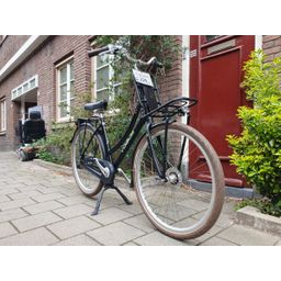Vogue Elite zwart 51cm 2020 (F.1204)