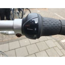Sparta Pallas Dames wit 57cm 2020 (F.1212)