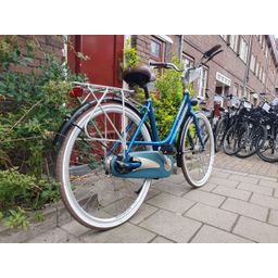 Batavus Flash Dames Groen 48cm 2020 (F.1210)