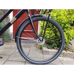 Sparta pickup zwart 61cm 2020 (F.1202)
