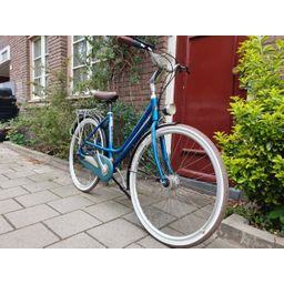 Batavus Flash Dames Groen 48cm 2020 (F.1210)
