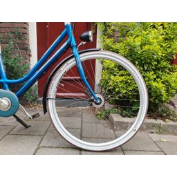 Batavus Flash Dames Groen 48cm 2020 (F.1210)