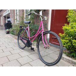 Limit geen roze 56cm 2020 (F.1230)
