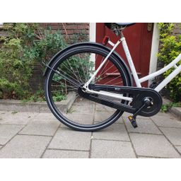 rival geen wit 53cm 2020 (F.1228)