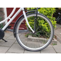rival geen wit 53cm 2020 (F.1228)