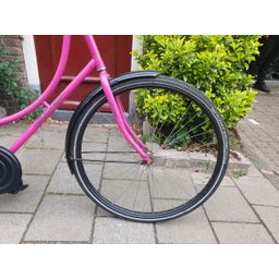 Limit geen roze 56cm 2020 (F.1230)