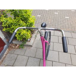 Limit geen roze 56cm 2020 (F.1230)