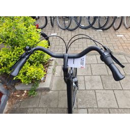 Sparta amazone zwart 53cm 2020 (F.1292)