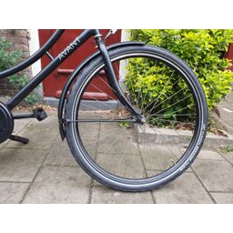 Avant Corrier zwart 53cm 2020 (F.1286)