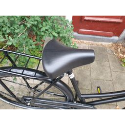 Avant Corrier zwart 53cm 2020 (F.1286)