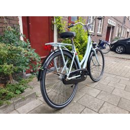 Cortina u1 blauw 50cm 2020 (F.1280)