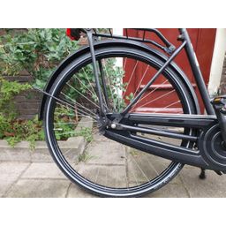 Geen merk . zwart 50cm 2020 (F.1282)