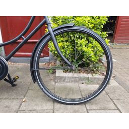 Geen merk . zwart 50cm 2020 (F.1282)