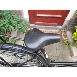Geen merk . zwart 50cm 2020 (F.1282)