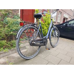 Crown Canero blauw 53cm 2020 (F.1278)
