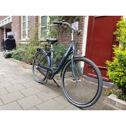 Crown Canero blauw 53cm 2020 (F.1278)