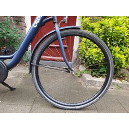 Crown Canero blauw 53cm 2020 (F.1278)